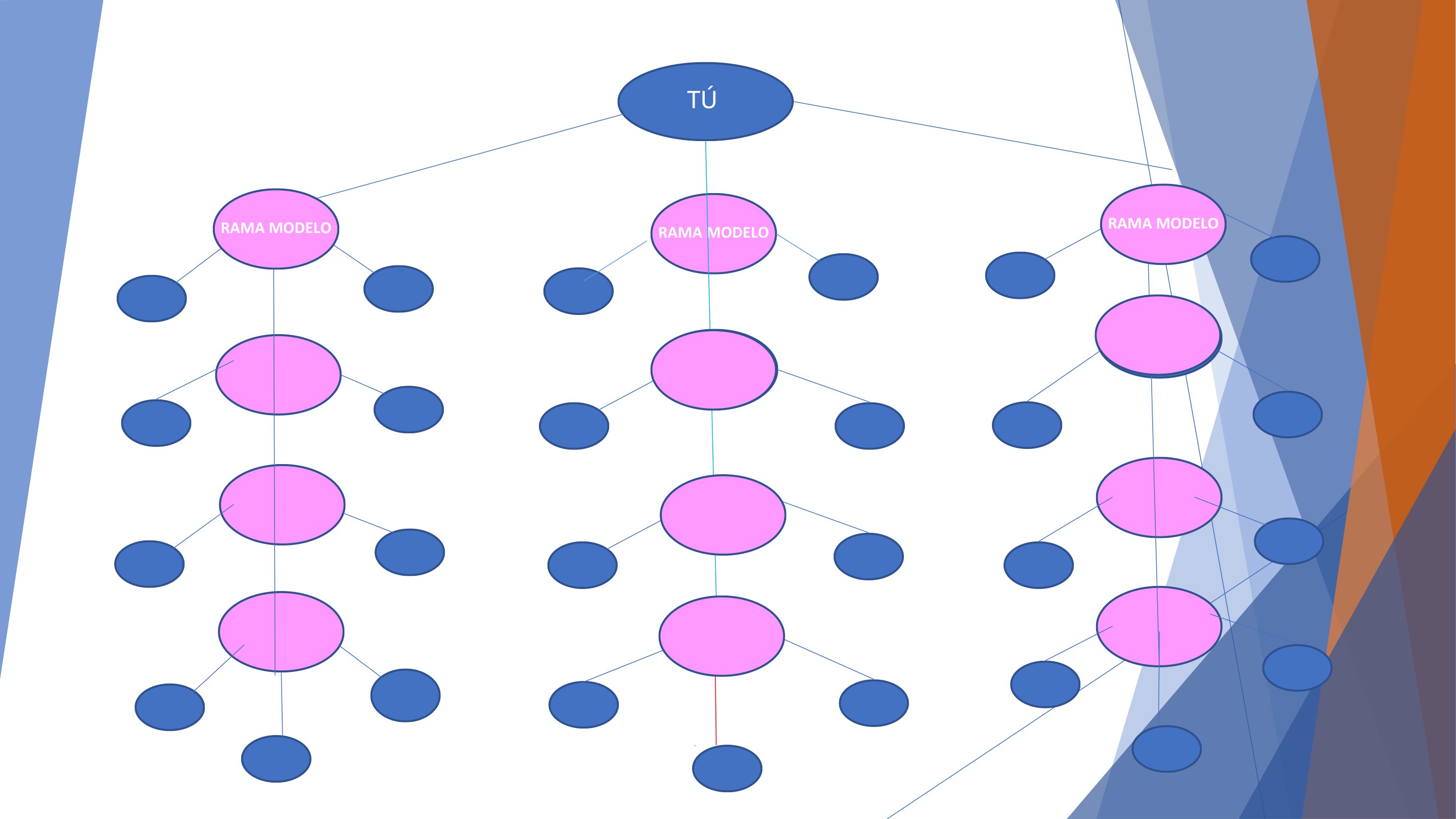 Esther Ortiz · Plan de Compensación 15